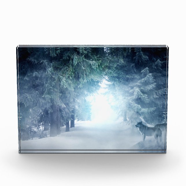 Winterschnee mit Wölfen im Evergreen Forest Fotoblock (Vorderseite)