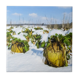 Winterschnee - Personalisierte Keramik Fliese