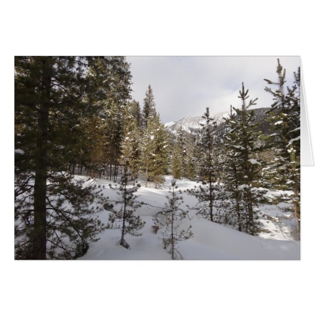 Winterschneebergszene in Montana (Vorderseite (Horizontal))