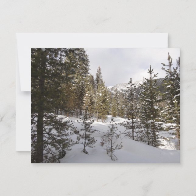 Winterschneebergszene in Montana Feiertagskarte (Vorderseite)