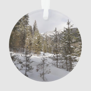 Winterschneebergszene in Montana Ornament