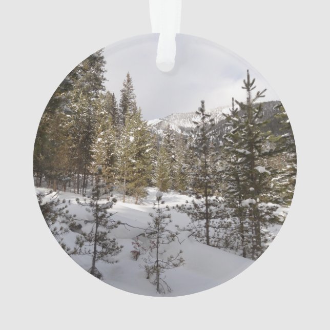 Winterschneebergszene in Montana Ornament (Rückseite)