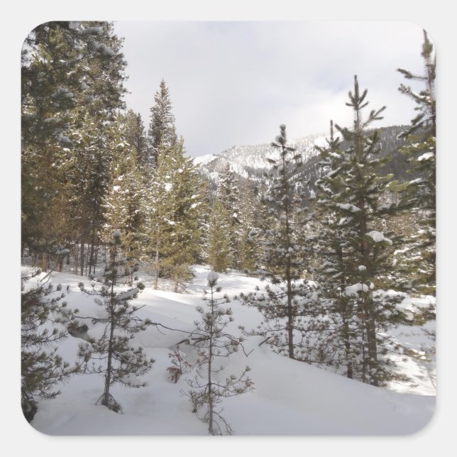 Winterschneebergszene in Montana Quadratischer Aufkleber (Vorderseite)