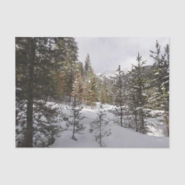 Winterschneebergszene in Montana Seidenpapier (Vorderseite)