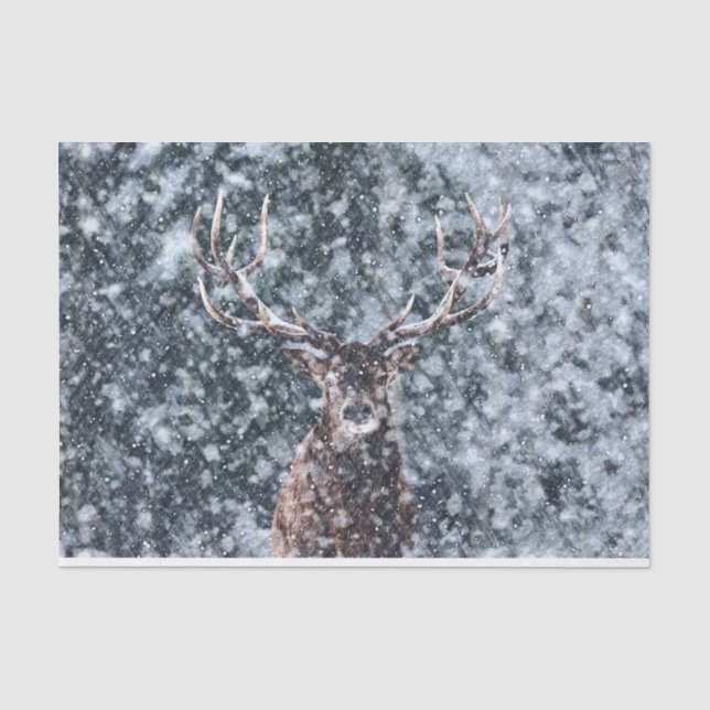 Winterschneehauber Seidenpapier (Vorderseite)