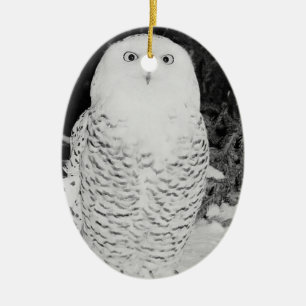 Winterschneehühner Tierwelt Feriendekoration Keramik Ornament