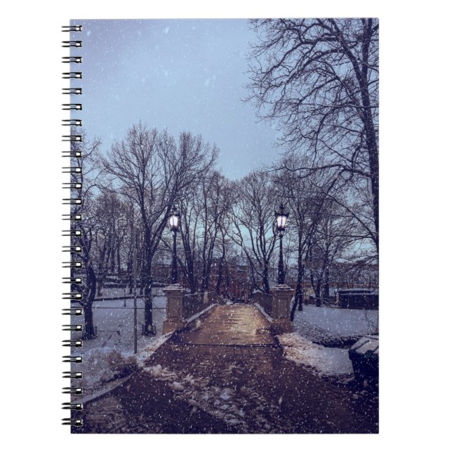 Winterschneepark im Abend Notizblock (Vorderseite)