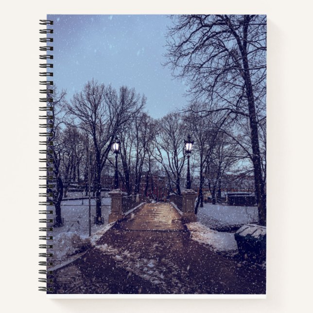 Winterschneepark im Abend Notizbuch (Vorderseite)