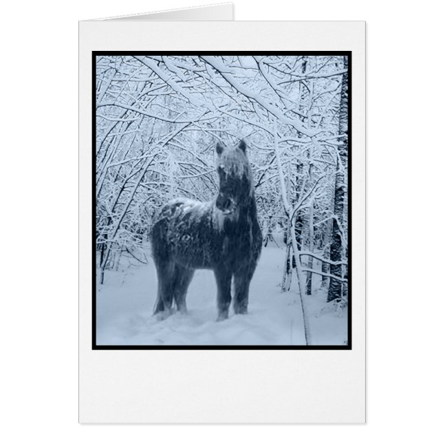 Winterschneepferd (Vorne)