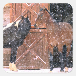 Winterschneepferde im Stall Quadratischer Aufkleber