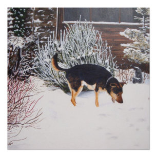 Winterschneeszene mit niedlichem schwarzem und tan poster
