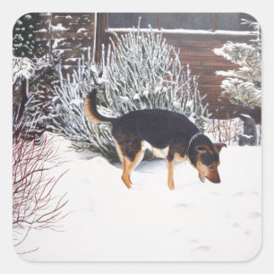 Winterschneeszene mit niedlichem schwarzem und tan quadratischer aufkleber