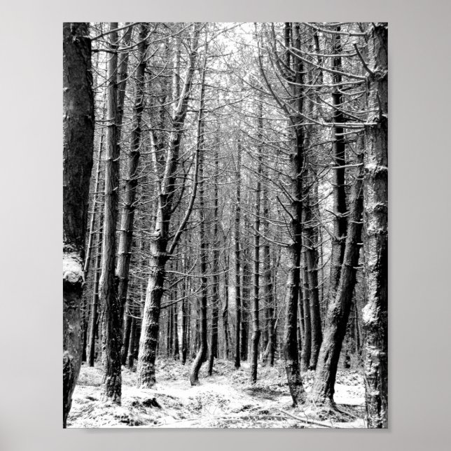 Winterschneewald Poster (Vorne)