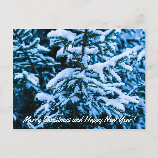 Winterschneeweihnachtsbaum Feiertagspostkarte (Vorderseite)