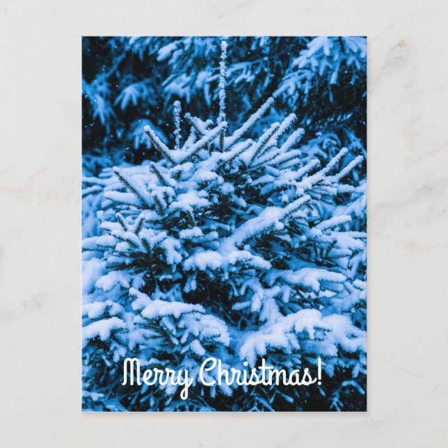 Winterschneeweihnachtsbaum Feiertagspostkarte (Vorderseite)