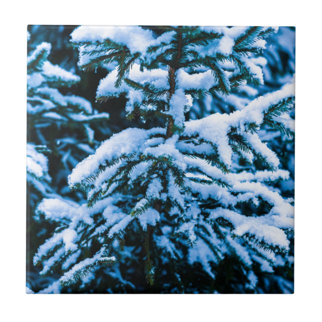 Winterschneeweihnachtsbaum Fliese (Vorderseite)