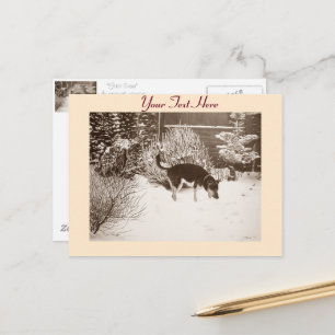 Winterschneewelt mit niedlichem Schwarz und Bräunl Postkarte