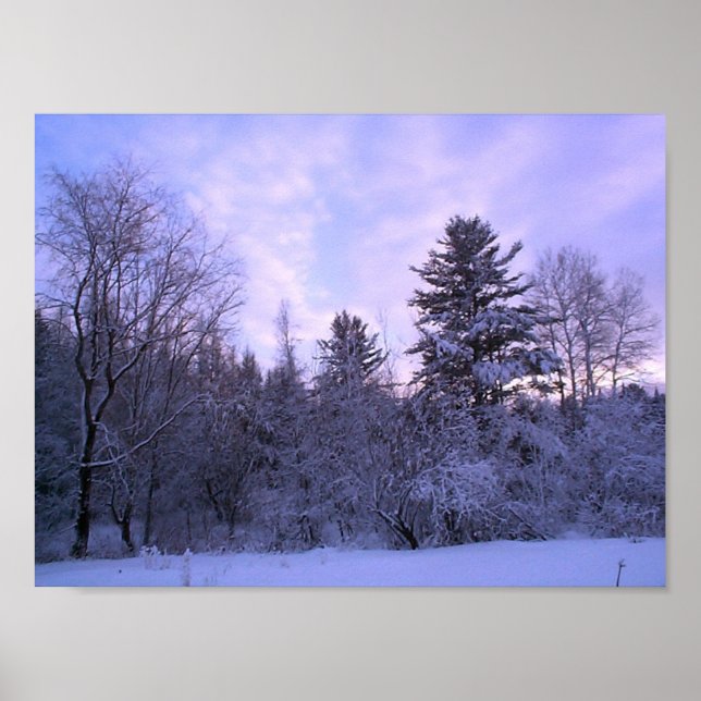 Winterschuh (4) poster (Vorne)