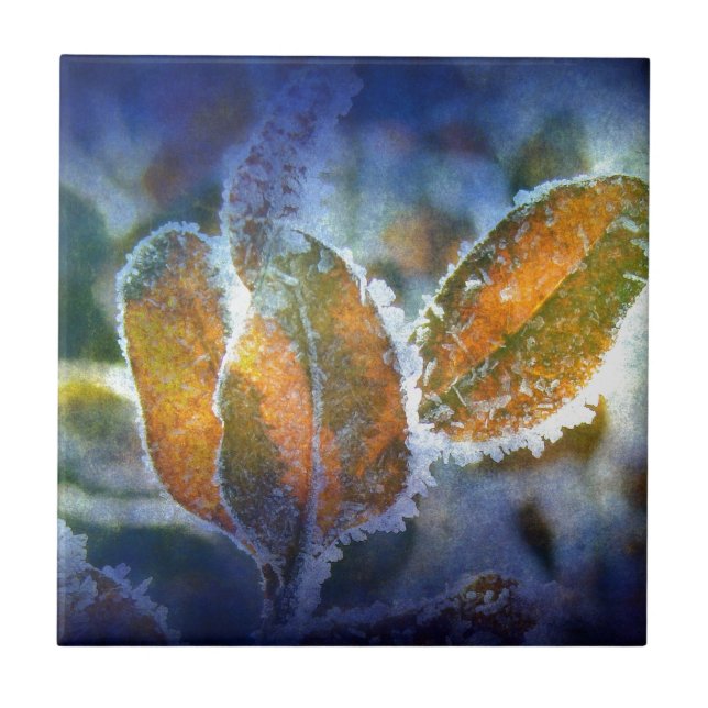 Winterschüttung Fliese (Vorderseite)