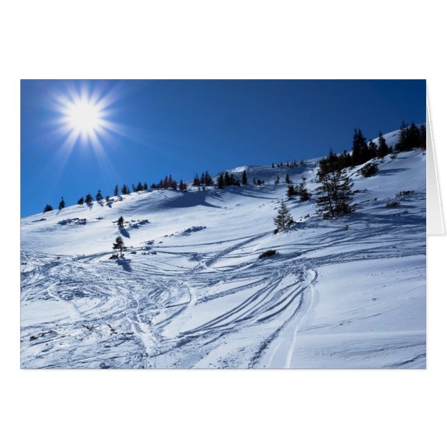 Wintersonne (Vorderseite (Horizontal))