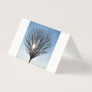 Wintersonne