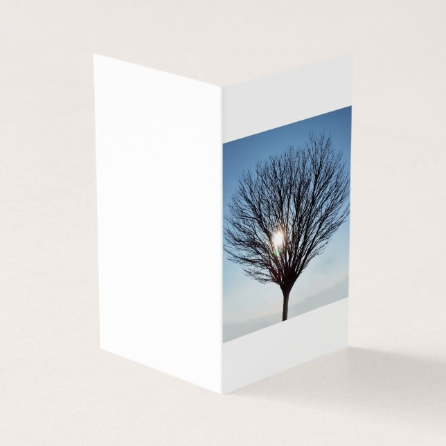Wintersonne (Vorderseite)