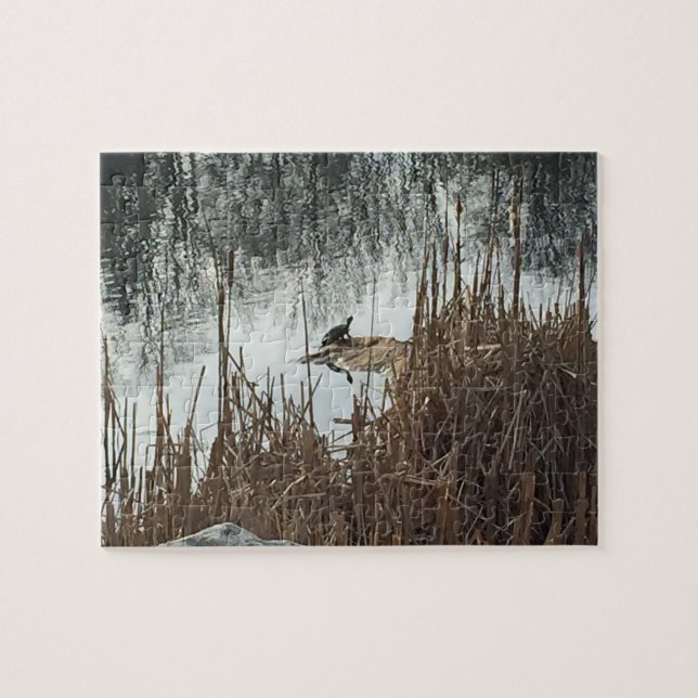 Wintersonne (Horizontal)