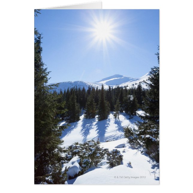 Wintersonne 5 (Vorne)