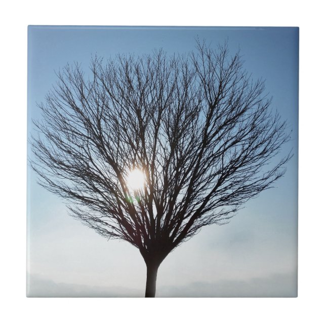 Wintersonne Fliese (Vorderseite)