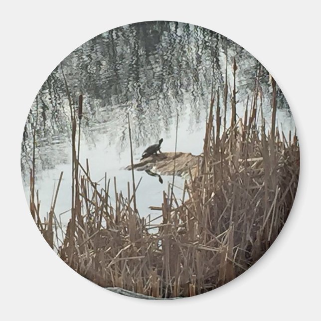 Wintersonne Magnet (Vorne)