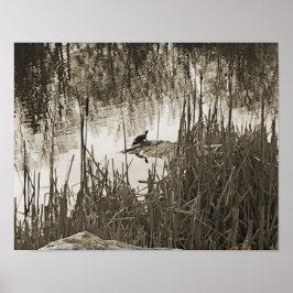 Wintersonne Poster