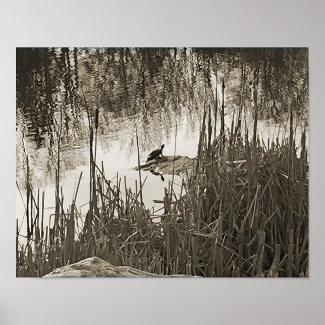 Wintersonne Poster (Vorne)