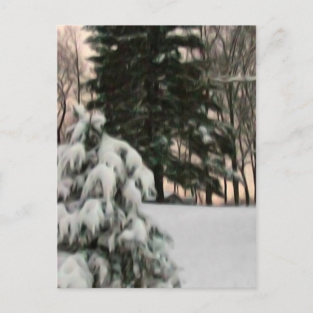 Wintersonne Postkarte (Vorderseite)