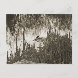 Wintersonne Postkarte