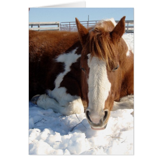 Wintersonnenbaden (Vorne)