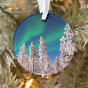Wintersonnenlicht Ornament