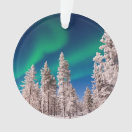 Wintersonnenlicht Ornament