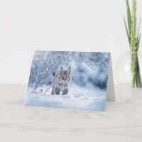 Wintersonnenwende mit Rotluchs und Schnee