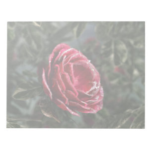 Winterspende-Notepad Notizblock