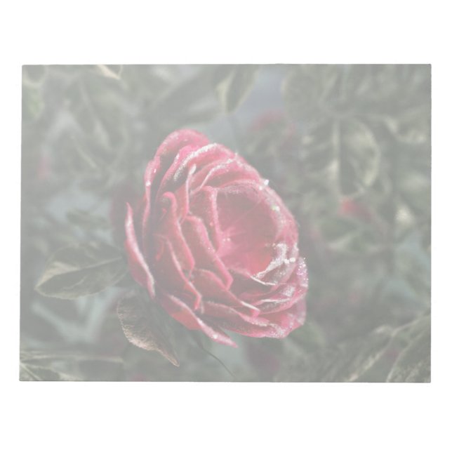 Winterspende-Notepad Notizblock (Vorderseite)