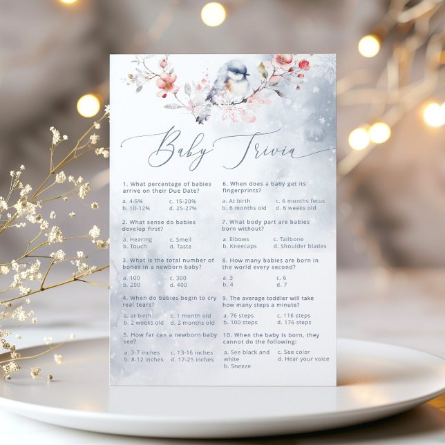 Winterstaubblauer Kindertrivialspiel (Von Creator hochgeladen)