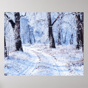 Winterstraße Poster