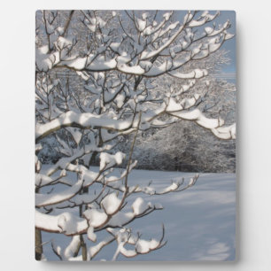 Wintersturm Fotoplatte