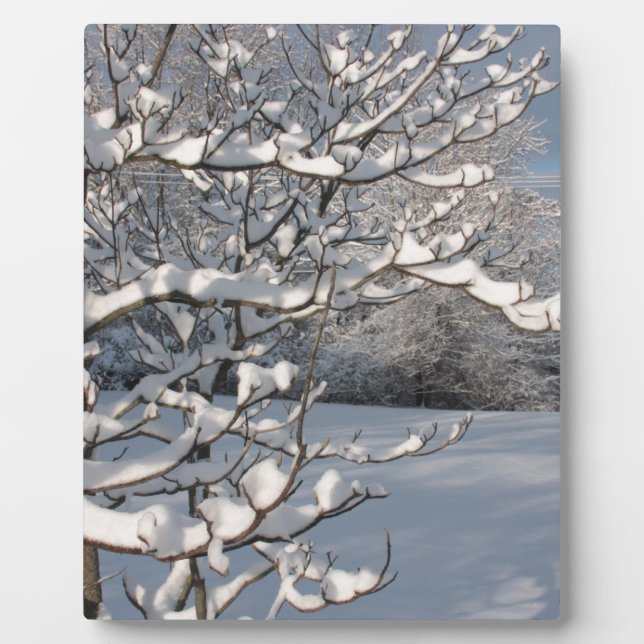 Wintersturm Fotoplatte (Vorderseite)