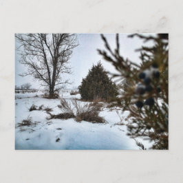Wintersturm in North Dakota Postkarte