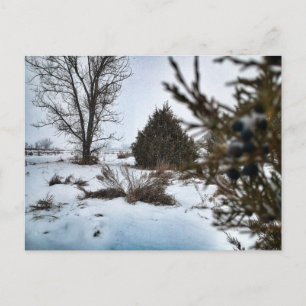 Wintersturm in North Dakota Postkarte