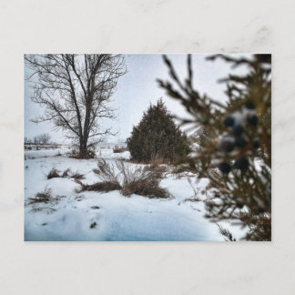 Wintersturm in North Dakota Postkarte