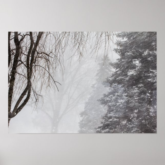 Wintersturm, Ohio. Poster (Vorne)