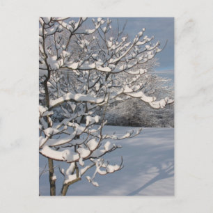 Wintersturm Postkarte