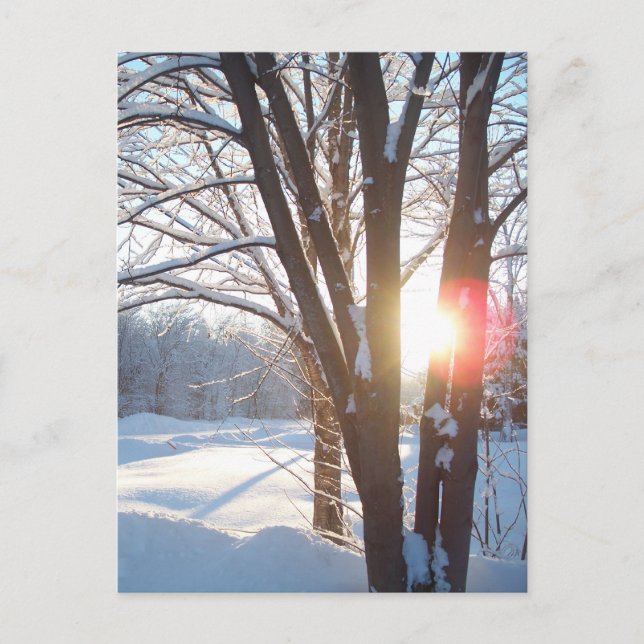 WINTERSUNRISE - Individuelles Design Postkarte (Vorderseite)